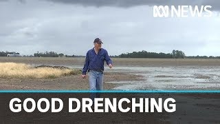 Heavy falls bring much-needed rain to significant parts of Queensland | ABC News