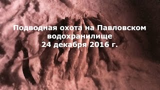 Подводная охота видео. Павловское водохранилище. 24.12.16.Щука,судак,жерех.