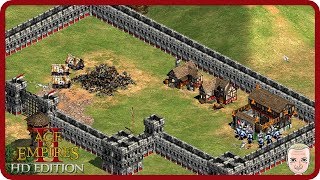 MEINE TAKTISCHE MEISTERLEISTUNG ★ AGE OF EMPIRES II HD 45 ★ Danger Zockt