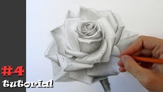 Как нарисовать розу.  Учимся рисовать розу карандашом.