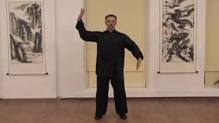 Тайцзи-цюань Ян 24ф. - подробности №3 формы с доктором Бутримовым. Ассоциация Даоинь России