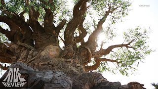 It's tough to be a Bug - Disney's Animal Kingdom