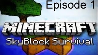 Minecraft mini-game ep,1 : Skyblock I See U!