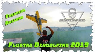 Freaking Awesome Day || Flugtag Dingolfing 2019 || #simplyphil