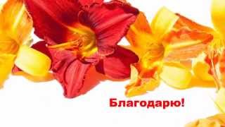 Плейкаст Спасибо Благодарю