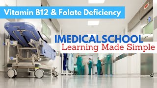 Medical School - Vitamin B12 & Folate Deficiency
