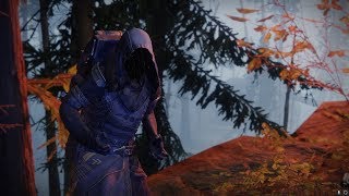 Destiny 2 - Зур / а че брать то?.. (27 декабря - 31 декабря)
