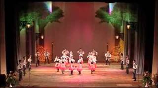 Hungarian folk dance (Венгерский народный танец)