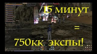 ТОП кач на РБ или 750кк опыта за 10 минут! L2 Classic - Lilith