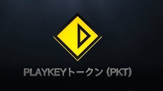 Playkey ICO - Decentralized Cloud Gaming Platform - Token sale:01-30.11.2017 (Japanese language)