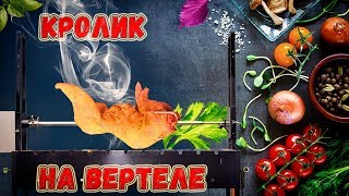 Жареный кролик на вертеле.#барбекю