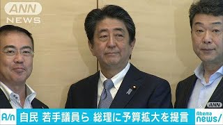 総理、10兆円枠設けましょう！・・・自民・若手が提言(18/07/07)