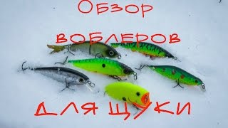 Обзор: воблеры для щуки