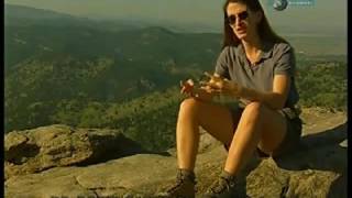 Если бы не было Луны