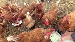 Осторожно, некачественные продукты из деревни