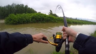 siluri a spinning in canale