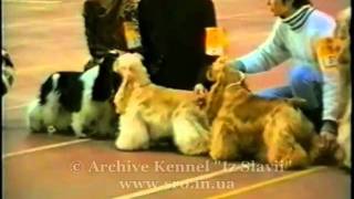 Выставка собак САС, Одесса -95