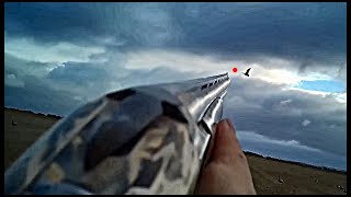 НАШЕСТВИЕ ГУСЯ / МУЖСКАЯ ОХОТА НА ГУСЯ. The Goose Invasion / Male Hunting for the Goose.