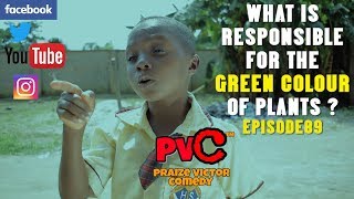 WHAT IS  RESPONSIBLE FOR THE GREEN COLOUR OF PLANTS  ( PRAIZE VICTOR COMEDY) EPISODE 89
