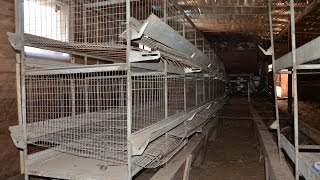 Предполагаемый птичник. Фермерское хозяйство Сергея Перевозникова