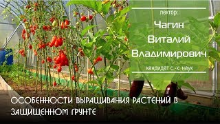 Особенности выращивания растений в защищенном грунте