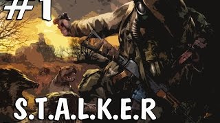 [МОД] S.T.A.L.K.E.R.: Радиоактивная Земля #1