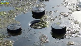 Скиммер для пруда  Messner Schwimmskimmer 140