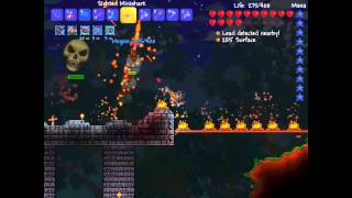 Terraria Expert Mode Skeletron