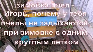 зимовка пчел - Игорь, почему у тебя пчелы не задыхаются при зимовке с одним круглым летком ?