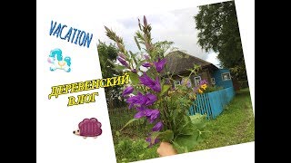 ДЕРЕВЕНСКИЙ ВЛОГ \ Katrina berry