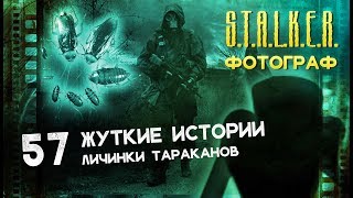 Прохождение S.T.A.L.K.E.R. ФОТОГРАФ # 57 ● Жуткие истории. Личинки тараканов ●