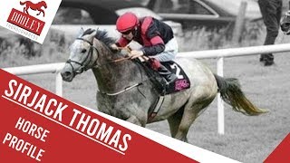 SirJack Thomas Horse Profile - Dooley Thoroughbreds