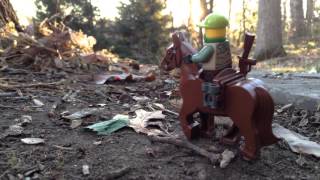 Lego hunting