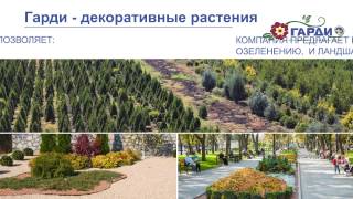Гарди - питомник декоративных растений и оранжерея цветов