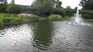 Откуда в Межигорье вода: озёра, водопады и фонтаны?