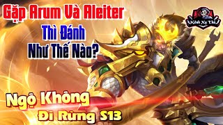 Trận Đấu Ngộ Không Đi Rừng Gặp Cả Arum Và Aleiter Thì Phải Đánh Như Thế Nào? Liên Quân