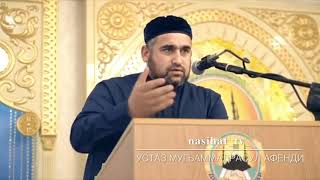Шейх мухаммадрасул хаджи доргели