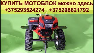 NEW... МОТОБЛОК SHTENLI 1900. ПАРТИЯ ОСЕНЬ 2018