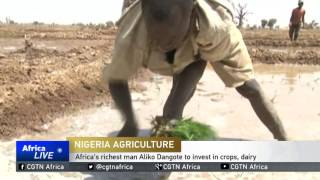 Africa's richest man Aliko Dangote to invest in crops, dairy