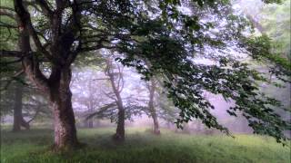 Пойте Иегове 57 "Размышление сердца" | The Meditation of My Heart