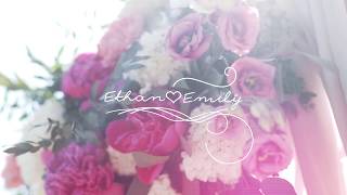 Wedding Text & shape animation AFTER EFFECTS FREE intro #8 Весільне інтро безкоштовно