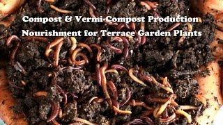 Compost & Vermi Compost Production, Nourishment for Terrace Garden Plants