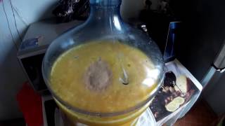 апельсиновый самогон. Брага с апельсинов