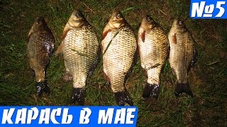 Вечерняя рыбалка на карася (карась весной на поплавок)