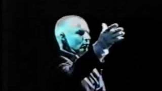 NORBERT LAMLA, THE GREATEST STAR OF ALL - GERMAN SUNSET BLVD