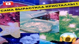 КАК БЫСТРО ВЫРАСТИТЬ КРИСТАЛЛЫ ДОМА / КРИСТАЛЛЫ ИЗ НАБОРА / Crystals from the set