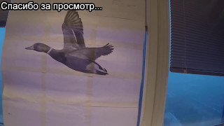 Стодольная мишень своими руками, обошлась в 5 рублей