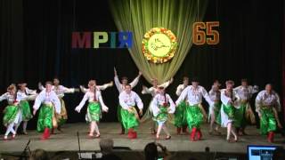 MRIYA-65_Vesnjanuy