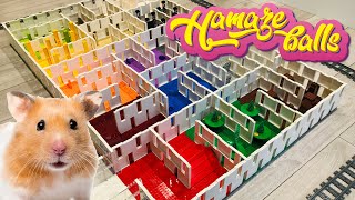 LEGO MAZE FOR PET HAMSTER - 15 LEVEL OBSTACLE COURSE