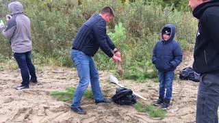 Экофестиваль 2017 высадили 10008 сосен! Сохраним ПриРОДу вместе??????❤️???????????
